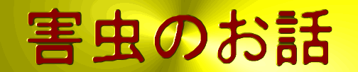 Q̂b